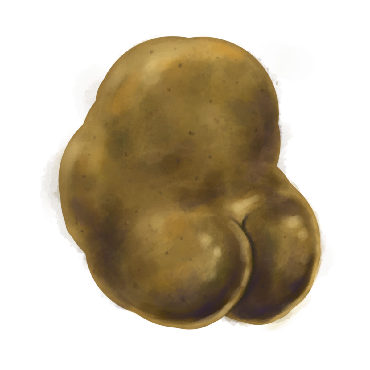 Drawing of a potato with a big ol' booty